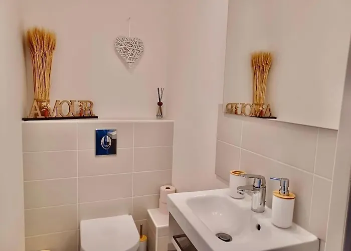 Auvergne Mon 公寓 克莱蒙费朗