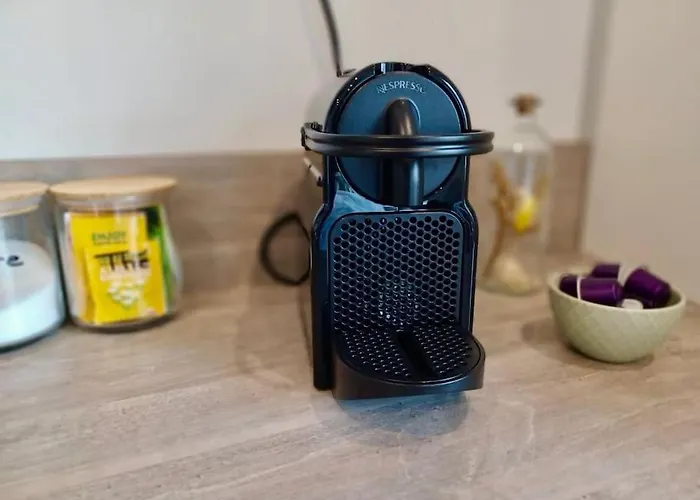 公寓 Auvergne Mon *