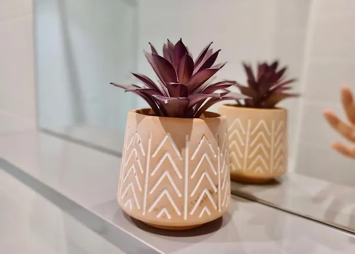 Auvergne Mon Appartement